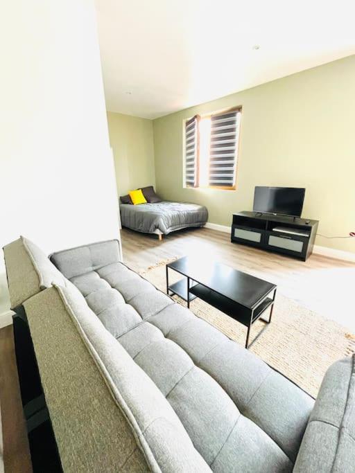 Appartement Studio Tout Equipe Au Calme Et Chaleureux à Saint-Etienne  Extérieur photo