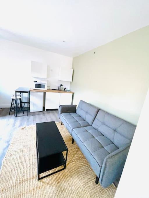 Appartement Studio Tout Equipe Au Calme Et Chaleureux à Saint-Etienne  Extérieur photo
